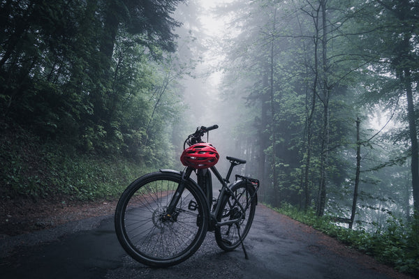 E-Bike fahren in der Schweiz