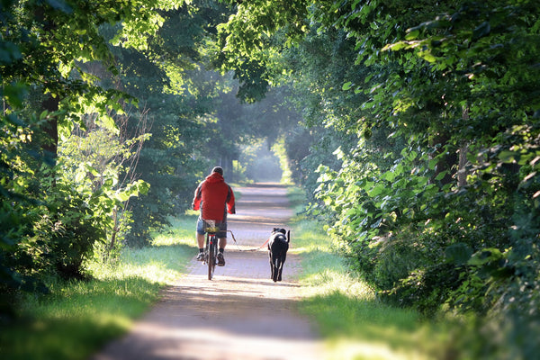 E-Bike fahren in der Hitze