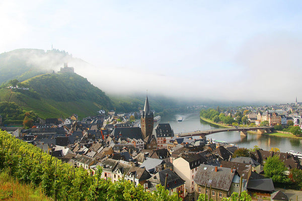 Wandern in der Mosel