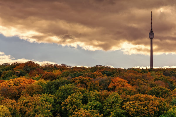 Wandern in und um Stuttgart