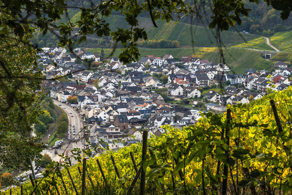 Wandern im Mittelgebirge Harz