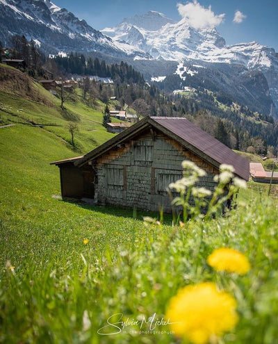 beautifultyrol Instagram Images