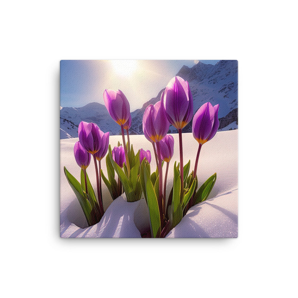 Tulpen im Schnee und in den Bergen - Blumen im Winter - Leinwand berge xxx 30.5 x 30.5 cm