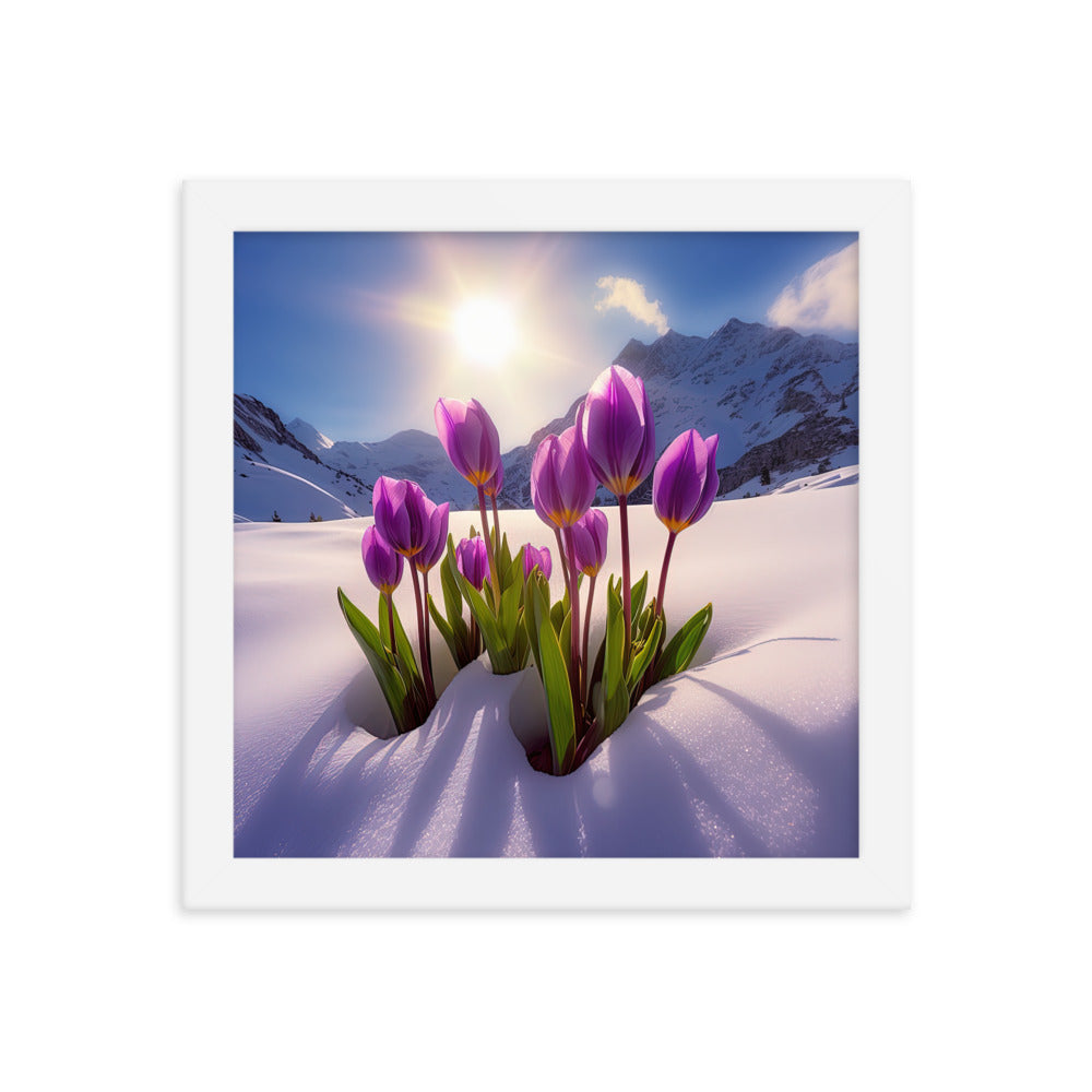 Tulpen im Schnee und in den Bergen - Blumen im Winter - Premium Poster mit Rahmen berge xxx 25.4 x 25.4 cm