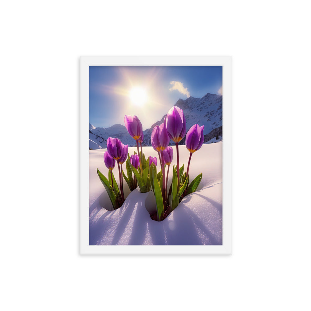 Tulpen im Schnee und in den Bergen - Blumen im Winter - Premium Poster mit Rahmen berge xxx 30.5 x 40.6 cm