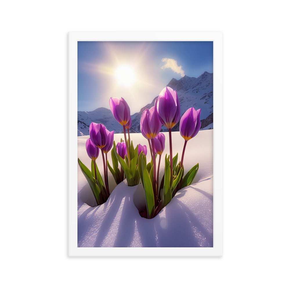 Tulpen im Schnee und in den Bergen - Blumen im Winter - Premium Poster mit Rahmen berge xxx 30.5 x 45.7 cm