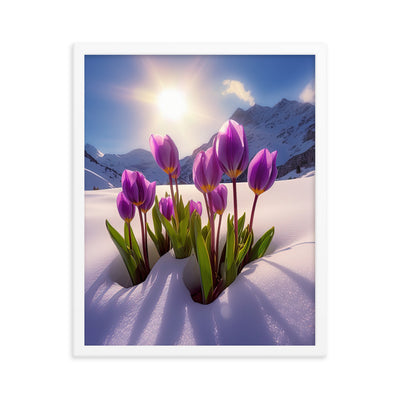 Tulpen im Schnee und in den Bergen - Blumen im Winter - Premium Poster mit Rahmen berge xxx 40.6 x 50.8 cm