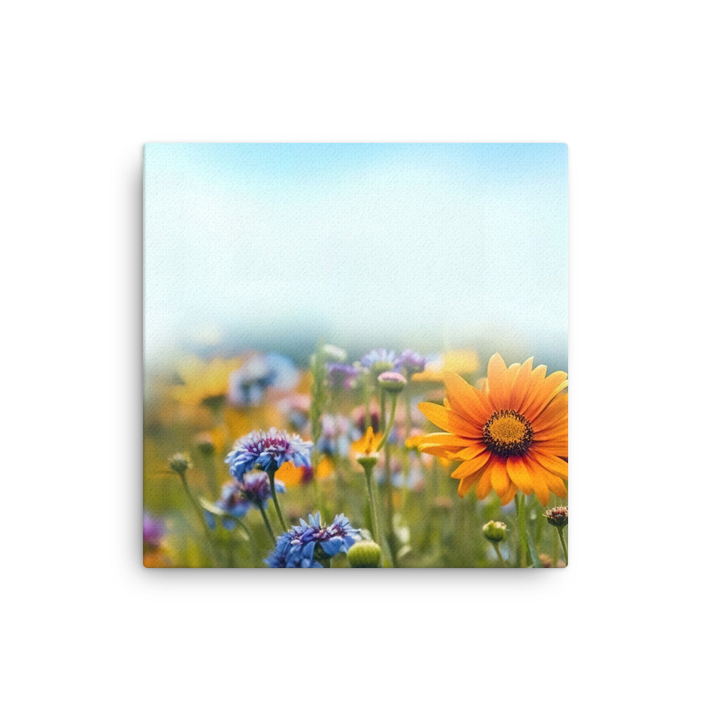 Foto von Blumen im Sonnenschein - Nahaufnahme - Dünne Leinwand camping xxx 30.5 x 30.5 cm