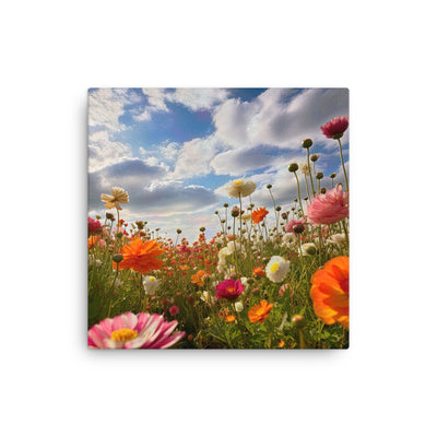 Blumenfeld und Sonnenschein - Dünne Leinwand camping xxx 30.5 x 30.5 cm