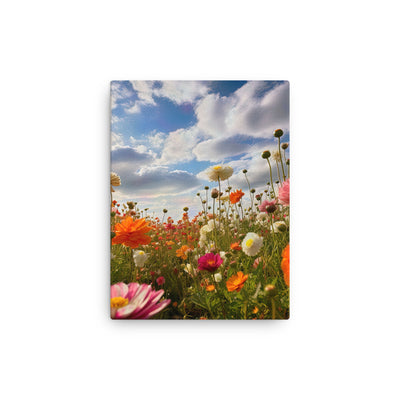 Blumenfeld und Sonnenschein - Dünne Leinwand camping xxx 30.5 x 40.6 cm